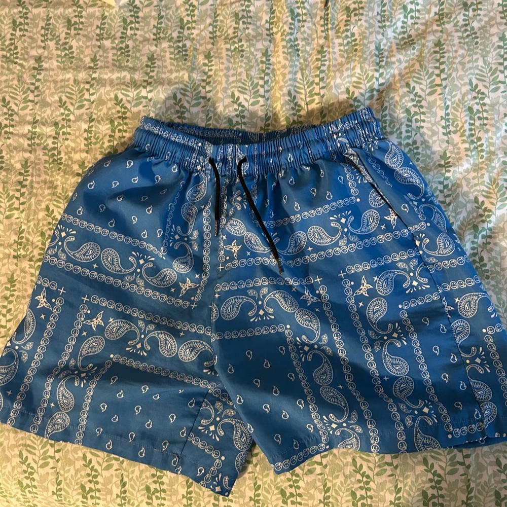 Blue Paisley Men's Shorts